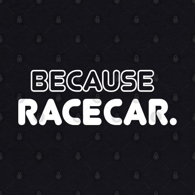 BECAUSE RACE CAR. by Soul Searchlight